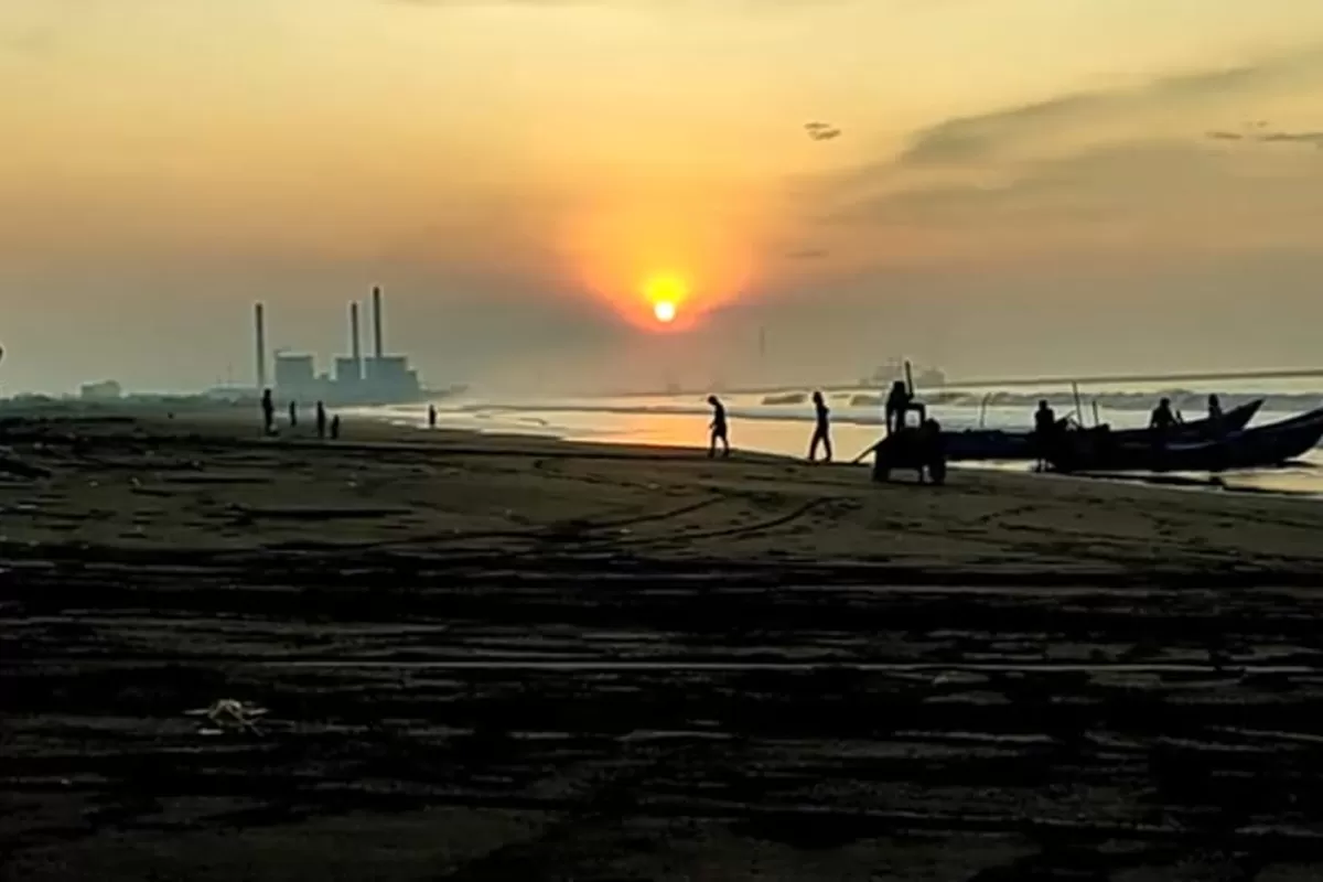 Mengungkap Pesona Senja di Alas Cemara Kemiren, Cilacap