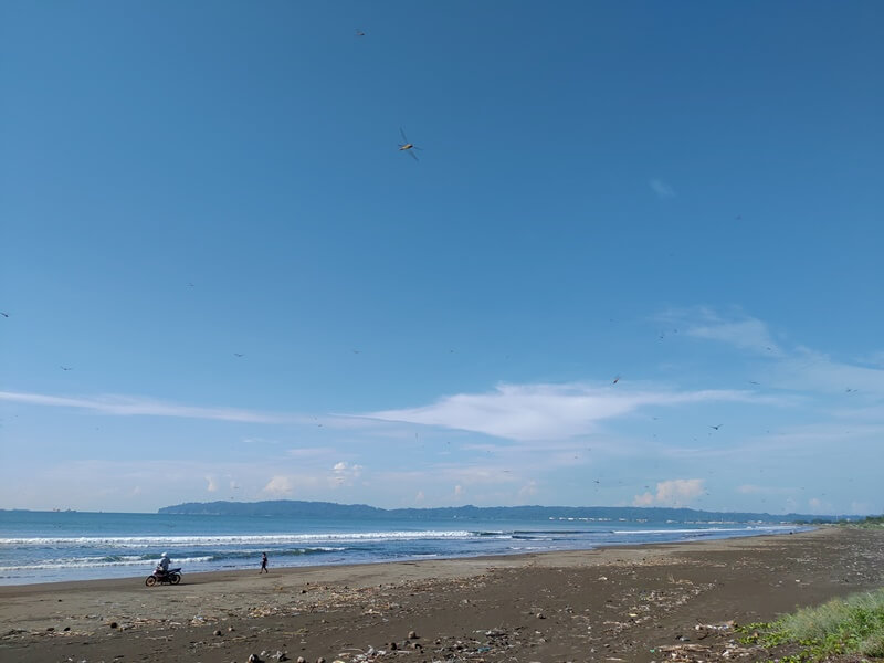 Senja di Alas Cemara: Rahasia Pantai Tenang di Tengah Kota